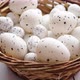 Basket of White Dotted Easter Eggs in Brown Wicker Basket - VideoHive Item for Sale