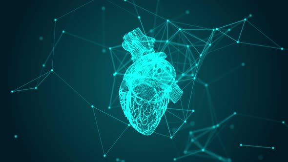 Virtual Humans Heart