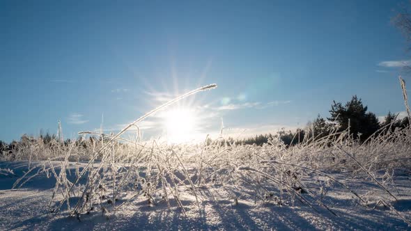 Frosty Weather