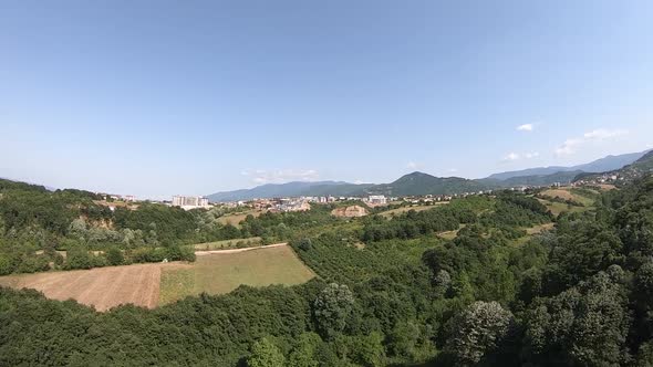 Aerial Field and Forest