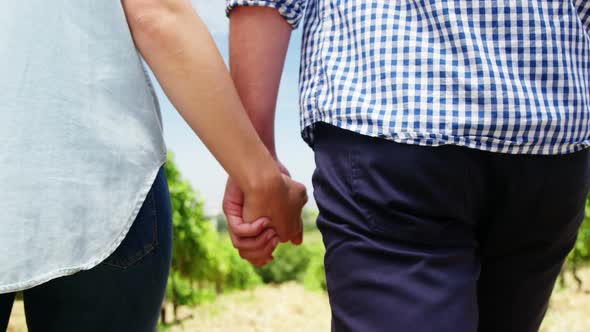 Mid section of couple walking hand in hand through vineyard