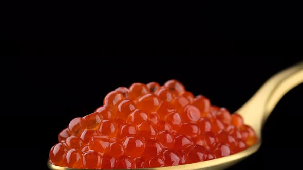 Red caviar in golden spoon on black background. 4K UHD video