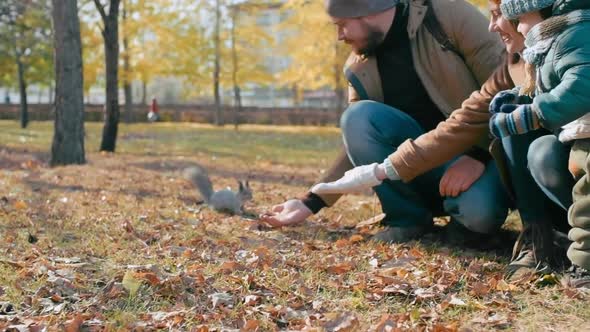 Hand Feeding Squirrel