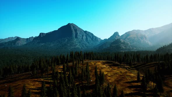 Rocky Mountain Range with Trees