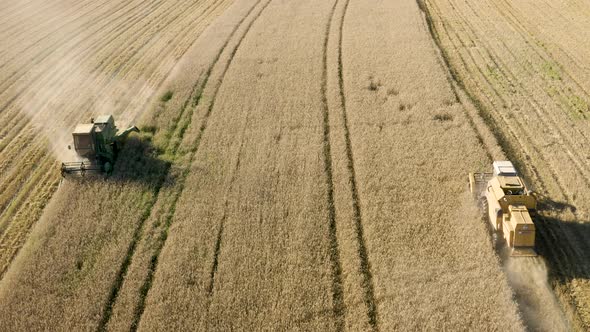 Combine harvesters mow rye in sunny field, static aerial drone shot