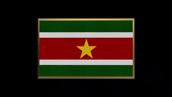 Suriname 3D Flag