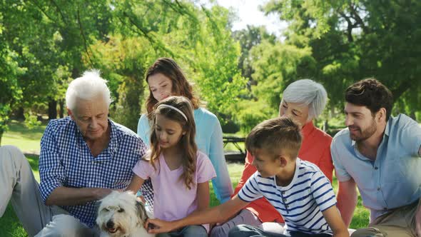 Multi-generation family playing with their dog in the park