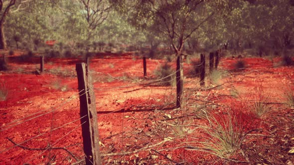 Old Rusted Small Farm Fence