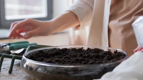 Woman Planting Pot Flowers at Home