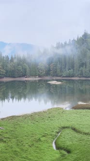 Vertical Video Mountain Lake Synevyr