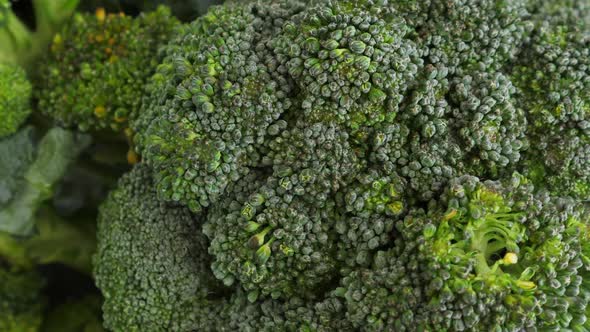 Fresh Green Broccoli Rotate