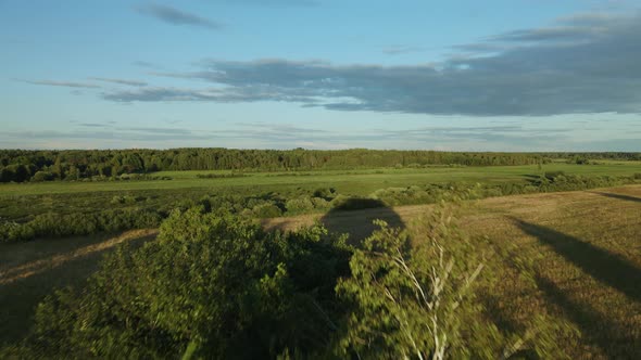 Flight Over A Tree. In The Countryside. Aerial Photography.