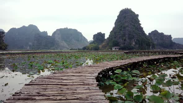 Wooden pier on lake in summer