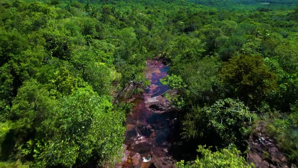 Caño Cristales river with red flowing through a rocky bed of green rainforest on a sunny day, Colomb
