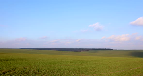 Clouds Over The Green Field - Timelapse