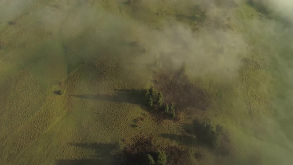 Top-down view of green misty land.