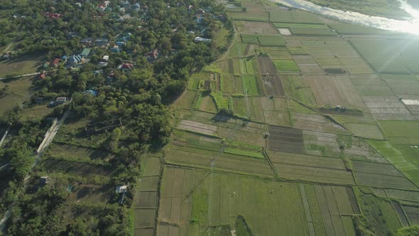 Landscape Rice Terrace Field Philippines Luzon