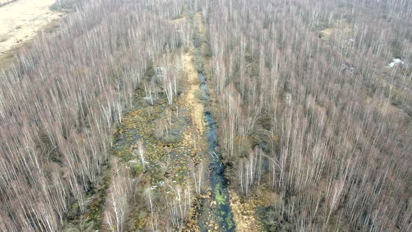 Marshes in Europe