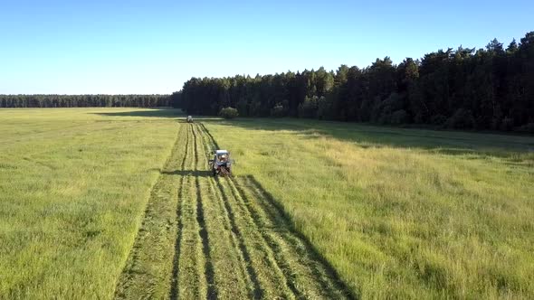 Haymaker Mower Drives on Field Cutting Off Hay Grass