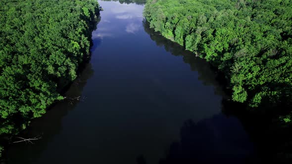 Natural Pond on a Sunny Summer Day Forest Panorama