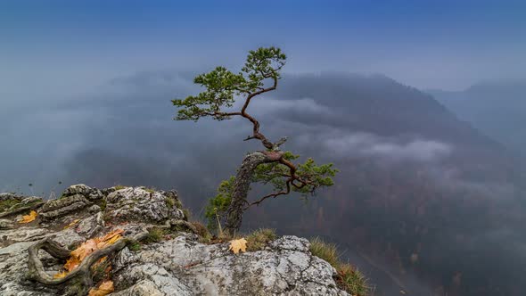 Sunrise in Sokolica peak of Pieniny mountains, Poland, Timelapse