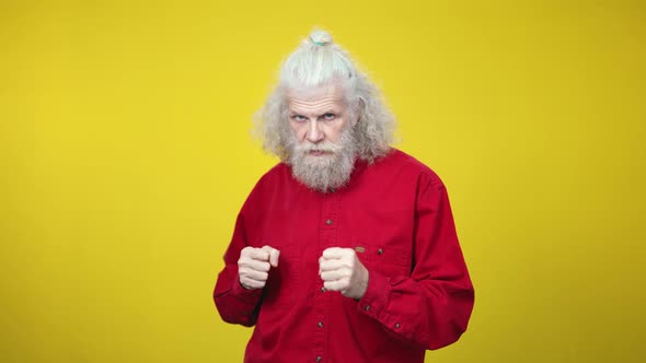 Serious Senior Boxer Boxing Camera at Yellow Background