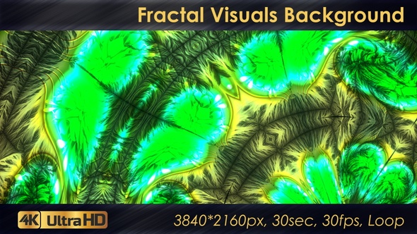 Fractal Kaleido Visuals