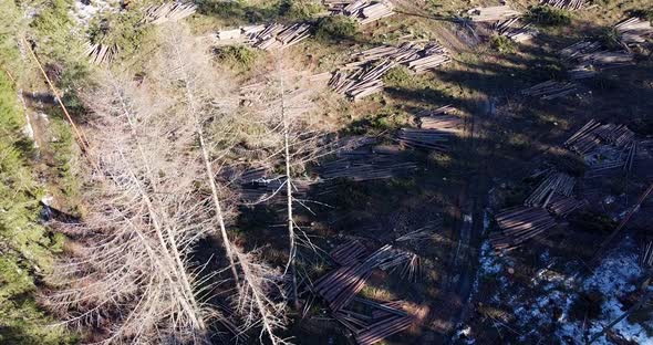 Aerial Footage Over Deforestation