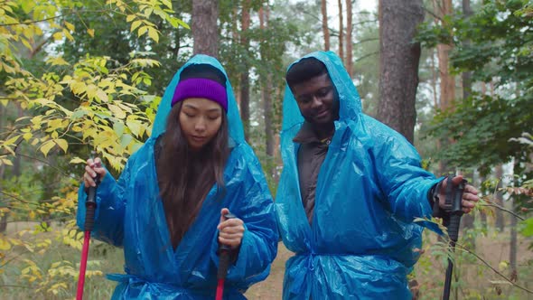 Hikers with Trekking Poles Backpacking in Rainy Wood