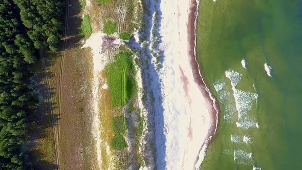 Scenic View Down To The Shore Of Curonian Spit. Background With No People.