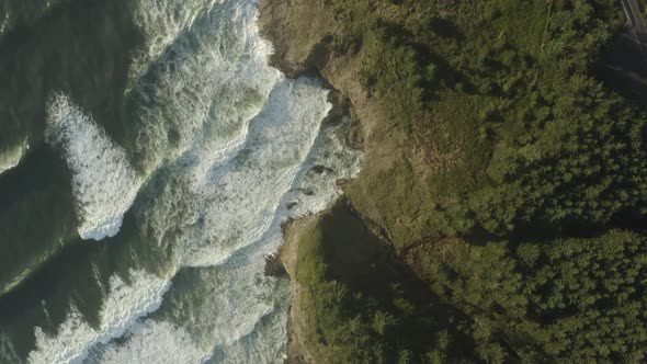 Static aerial of forest and ocean meeting with ocean waves, looking down