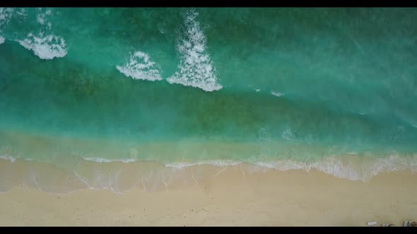 Aerial tourism of luxury coastline beach wildlife by blue green ocean with white sandy background of