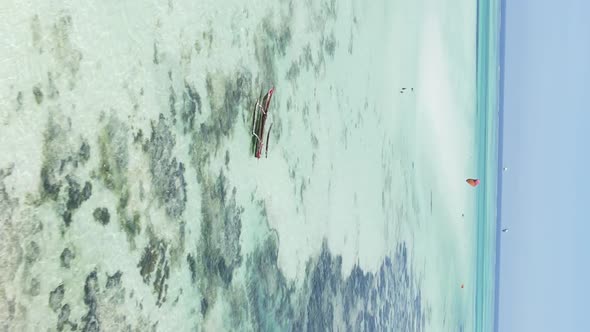 Zanzibar Tanzania  Vertical Video of Low Tide in the Ocean Near the Coast Slow Motion