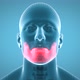 Lower Jaw - VideoHive Item for Sale