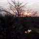 Sunset At Wassadou In Senegal - VideoHive Item for Sale