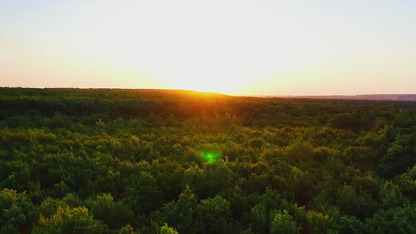 Beautiful sunrise or sunset over forest. Aerial video flying over high trees.