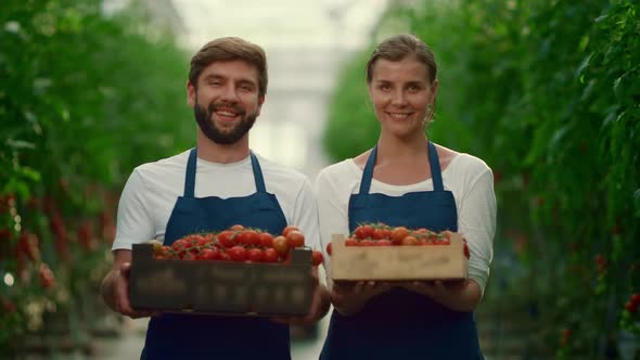 Positive Farmers Show Vegetables Tomatoes Crate at Local Market Plantation House