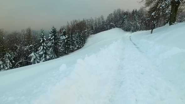 Walking on a Snowy Path in Raw Nature