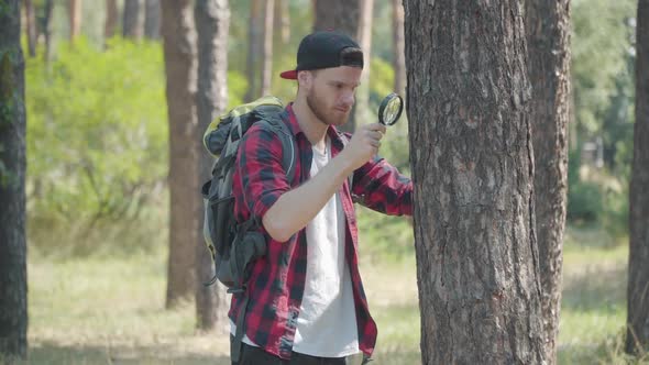 Side View of Focused Young Bearded Environmentalist Examining Tree in Summer Forest. Portrait of