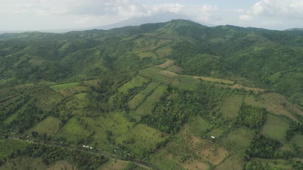 Palms and Agricultural Land in the Mountainous Province