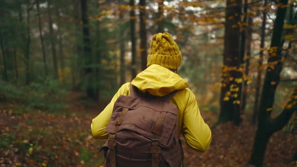 Slow Motion Female Hiking in Forest in Atumn