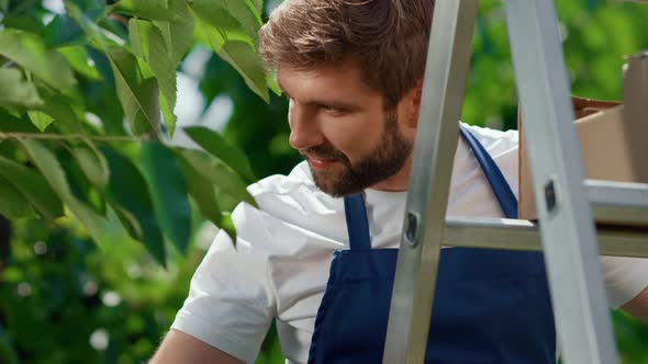 Portrait Farmer Picking Berry Branches in Natural Farmland Plantation Smiling