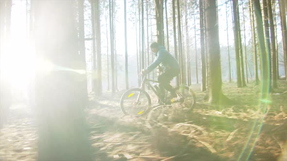 Cyclist In The Forest