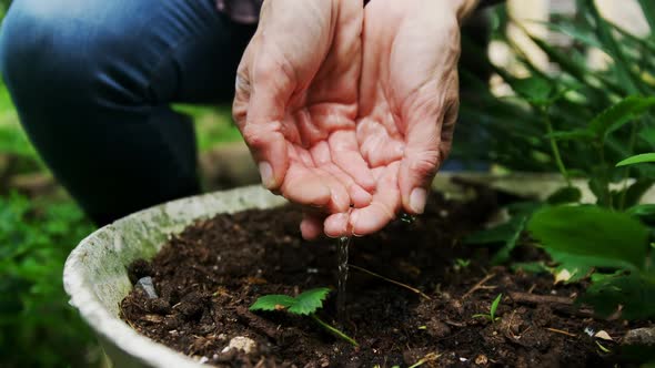 Woman sowing seeds in the garden