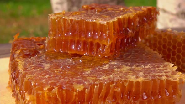 Closeup Panorama of the Fresh Sweet Honey in Honeycombs