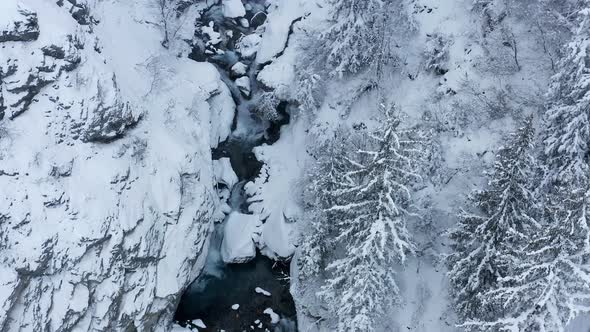 Fying over a river and trees in a snowy canon. White winter scene