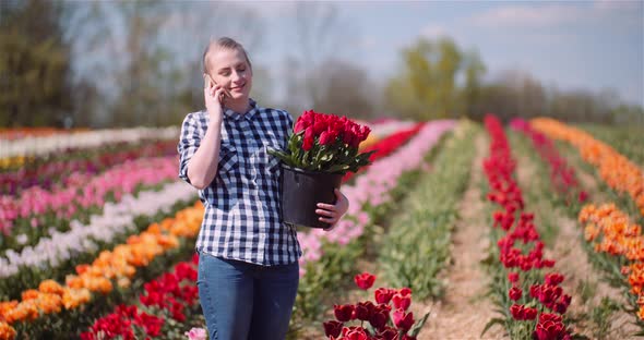 Woman Holding Tulips Bouquet in Hands While Talking on Mobile Phone on Tulips Field
