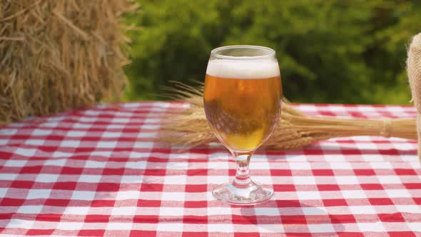 Glass of light beer and grains