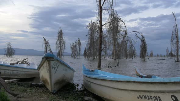 Boats on the lake shore