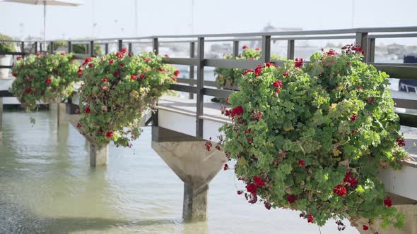 Flower decorations on the pier by the beach